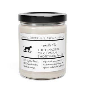 9oz soy based candle